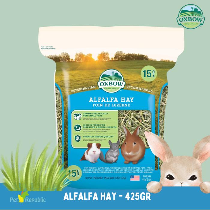 Gambar OXBOW Rumput Anakan ALFALFA Hay 425gram dari Pet Republic Indonesia Kota Administrasi Jakarta Utara Tokopedia