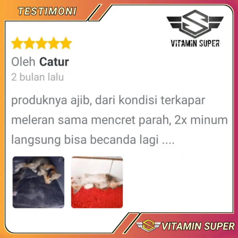 Vitamin Kucing Paket Anti Virus D2 dan Uky Amino  Obat Flu Berat, Panleu, Calici, Distemper, Mencret, Pipis Darah, Batuk, Muntah, Sariawan, Lemes, Imun dan Antibodi nya Kuat 6