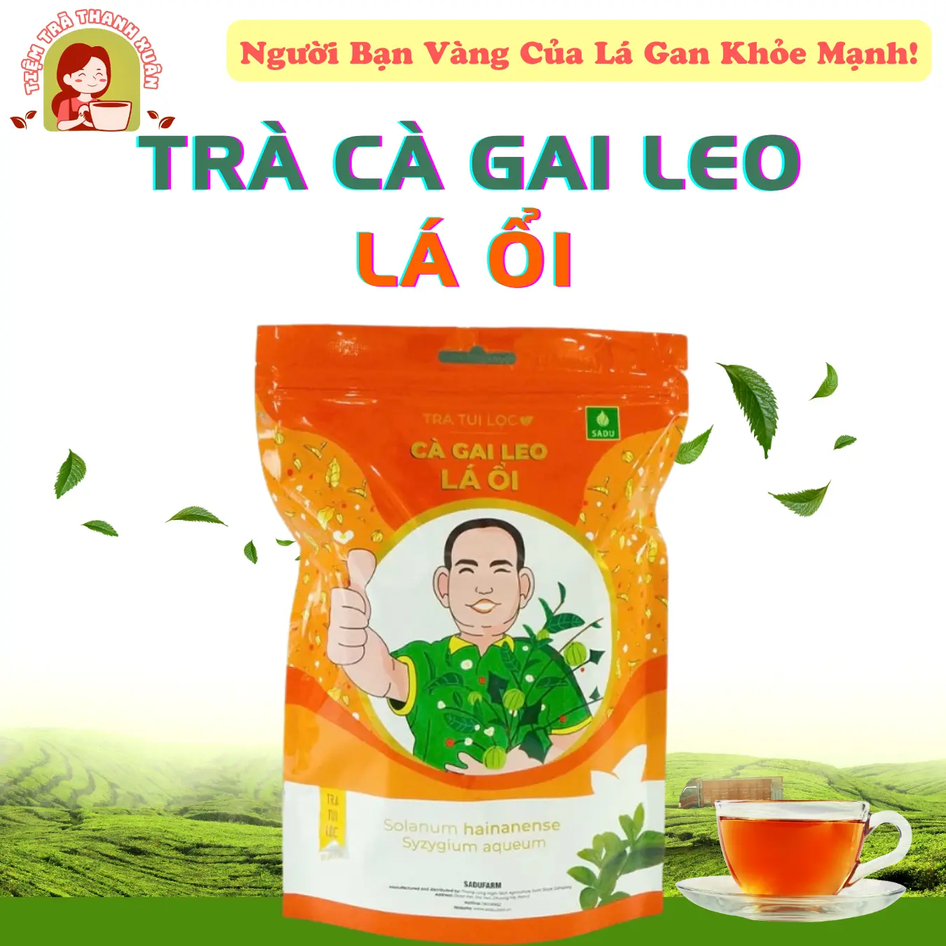 Trà Cà Gai Leo Lá Ổi SADU 250g (50 túi lọc) Hỗ Trợ Thanh Nhiệt Giải Độc Mát Gan - Nước Trà Tea Chè càgaileo Trắng Da Không Chua
