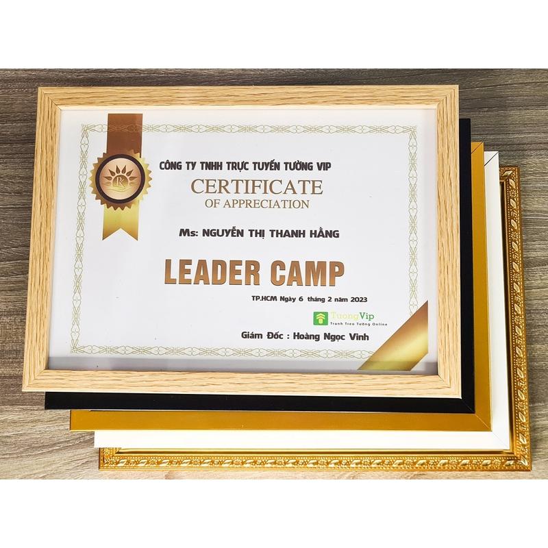 Khung Ảnh - Khung Bằng Khen 21X30cm(A4) /25x35cm(B4)/ 30x42cm(A3) Composite, Mặt Mica Treo Tường Để Bàn TƯỜNG VIP