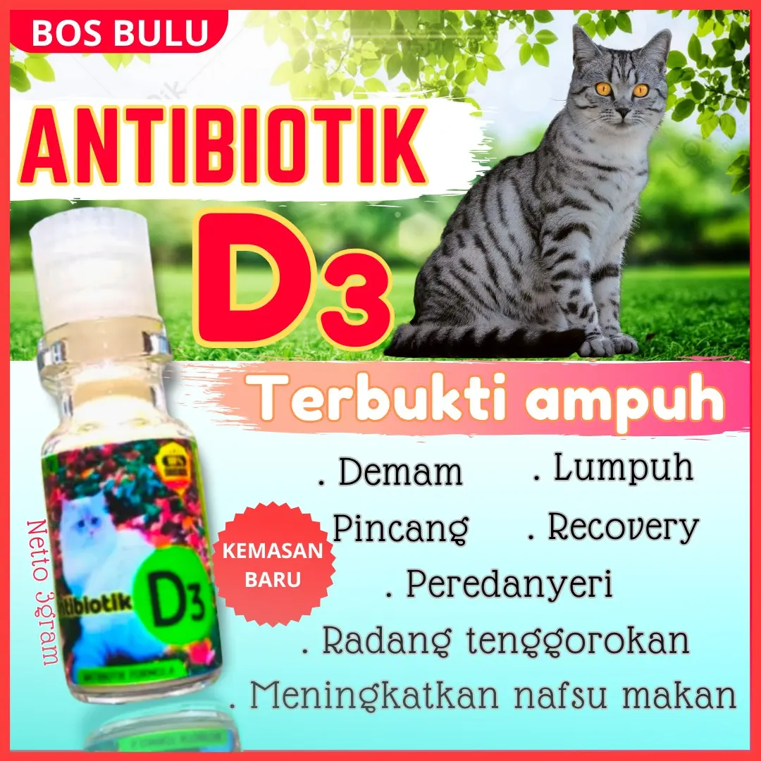 d3 obat antibiotik pereda nyeri saraf lumpuh kucing