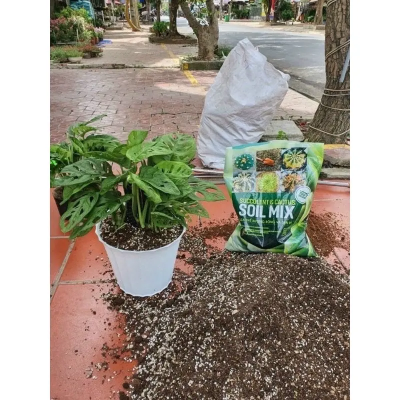 1kg Giá thể trồng sen đá SOIL MIX BA giá thể trộn sẵn cho cây cảnh sen đá xương rồng cây lá kiểng ( túi zip 1kg) 5
