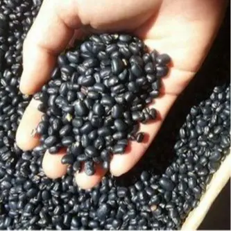Bột đậu đen hữu cơ tự nhiên 500g 6