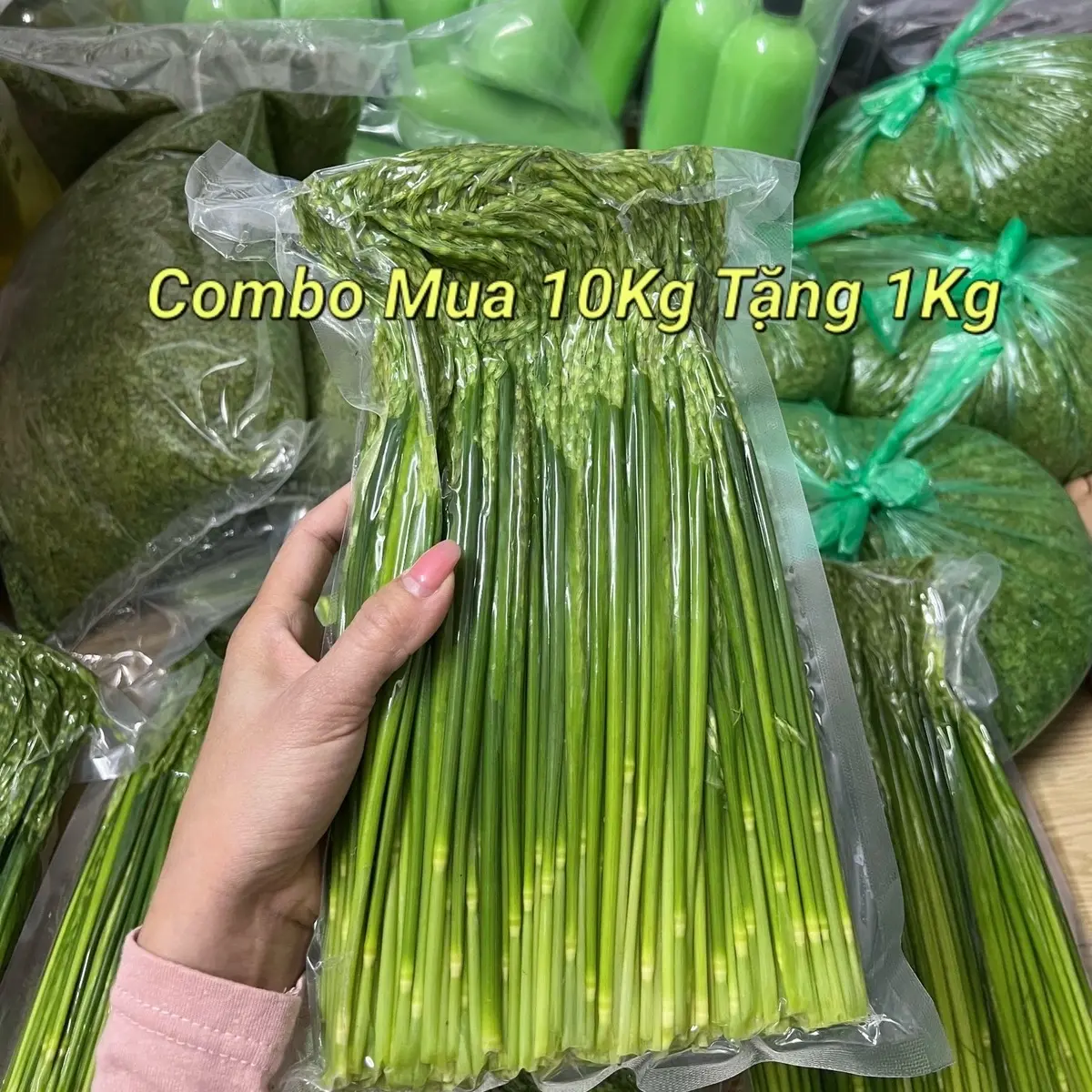 Combo 10KG Trà Đòng Đòng Ngâm Sinhtố Gạo Thơm (Ngâm Tửuu Vàng Xanh, TẶNG quà ) nước  táo