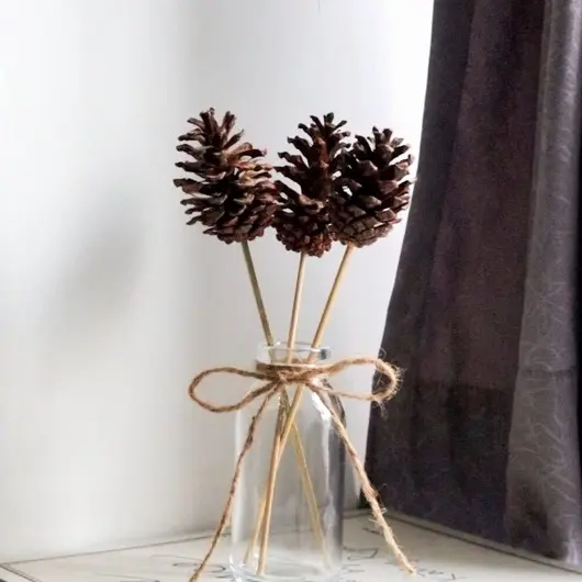 set bunga kering aestetik/dekorasi ruangan murah/dekorasi cantik Buah 2
