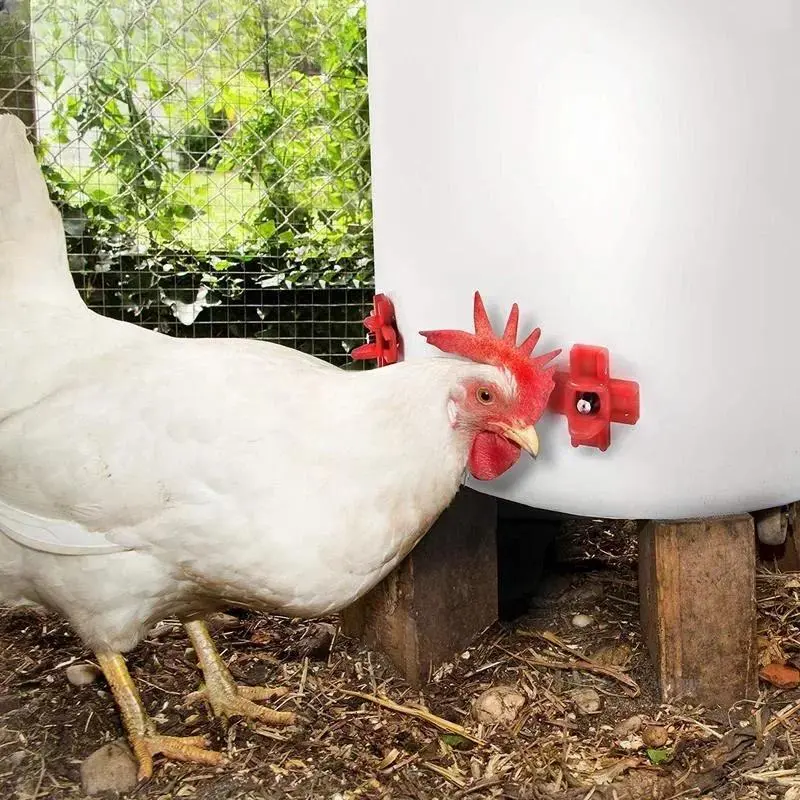 Automatic Chicken Waterer Hens Quail Birds Drinking Bowl Water Coop Chick Nipple Drinkers Poultry for Chicken Accessories
