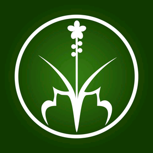 Hương Sạch Tân Nguyên