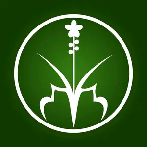 Hương Sạch Tân Nguyên