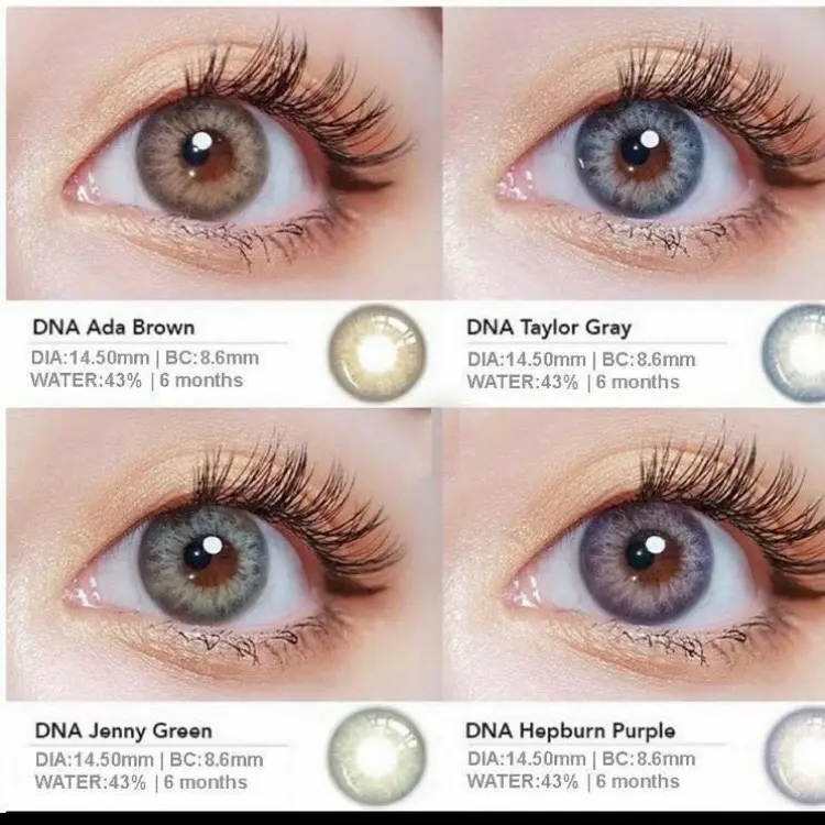 (Free case) SWEET BOLLYCON DNA Normal s/d -10.00 Dm 14.5mm Contact Lens Eye Lens Soflens Box