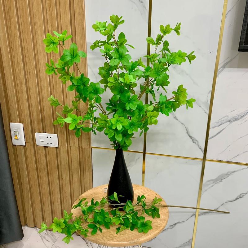 Cành thạch nam phủ cao su