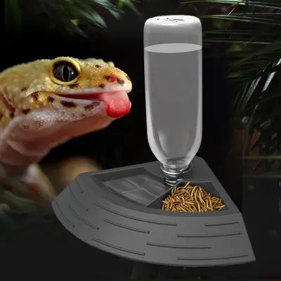 Feeder frogs for snakes best sale