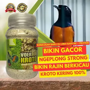 VOER KROTO KERING SPESIAL FOODING BURUNG BERKICAU GACOR POLL