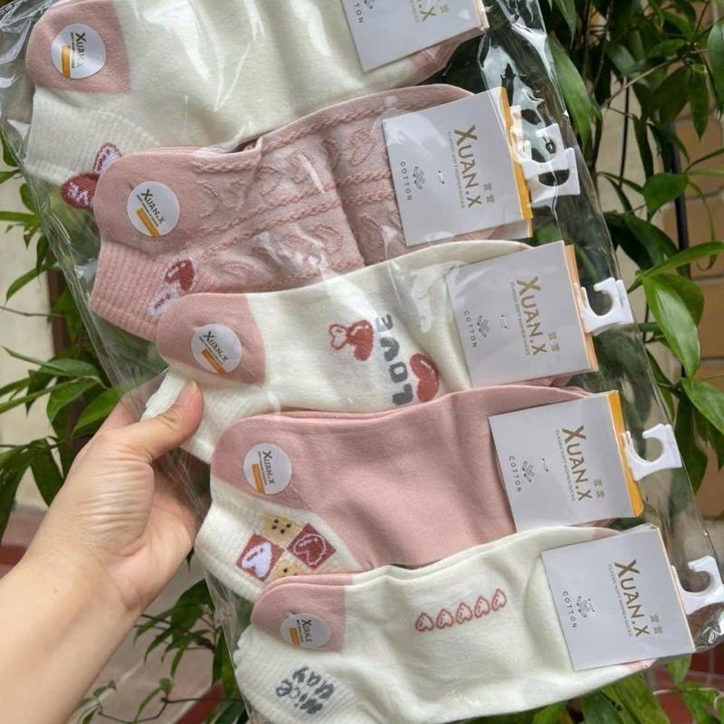 Set 10 đôi tất nữ cổ ngắn dệt kim in hoạ tiết dễ thương thời trang tất vớ nữ cotton thấm hút mồ hôi mẫu mới tat  gaucoca 5