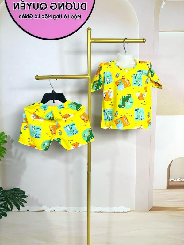 Product Introduction of DQ5 - 02. Bộ Quần Ngắn Áo Tay Ngắn Bé Trai. Chất Vải Tole Lanh Hai Da. Size 11kg đến 12kg. 13