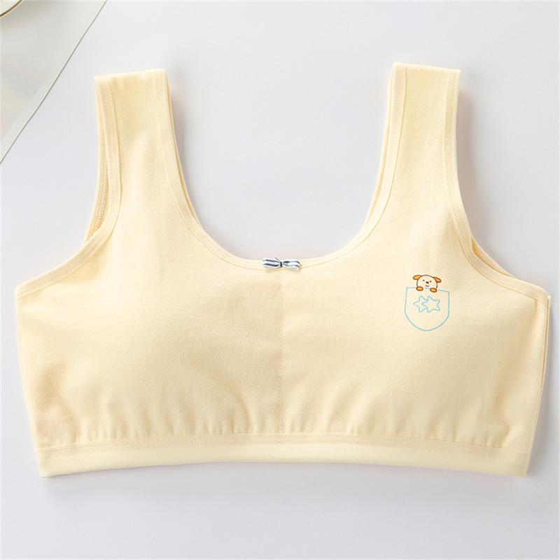 Product Introduction of Áo Ngực Không Gọng, Dành Cho Nữ Tuổi Teen, Không Có Gọng, Thích Hợp Cho Thời Kỳ Phát Triển, Học Sinh Và Nữ Tuổi Teen, Màu Trắng, Đồ Lót Thoải Mái, Áo Ngực Cho Bé 22