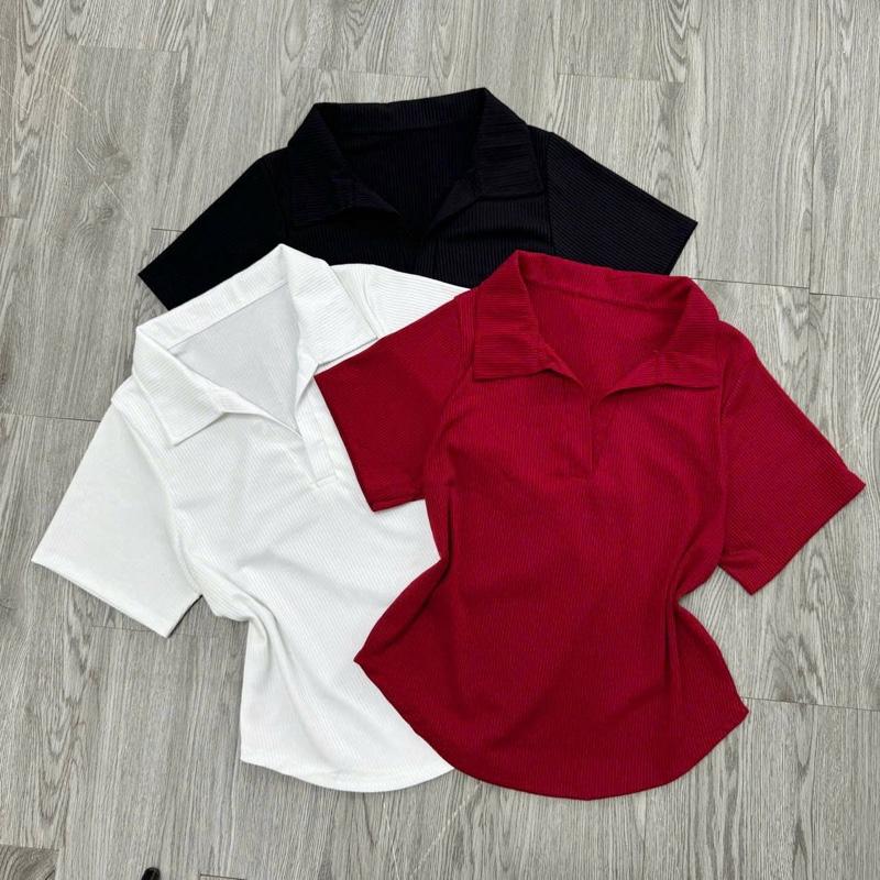 ÁO THUN POLO BIGSIZE,  vải thun gân co giãn vạc bầu dáng vừa dành cho nữ từ Women