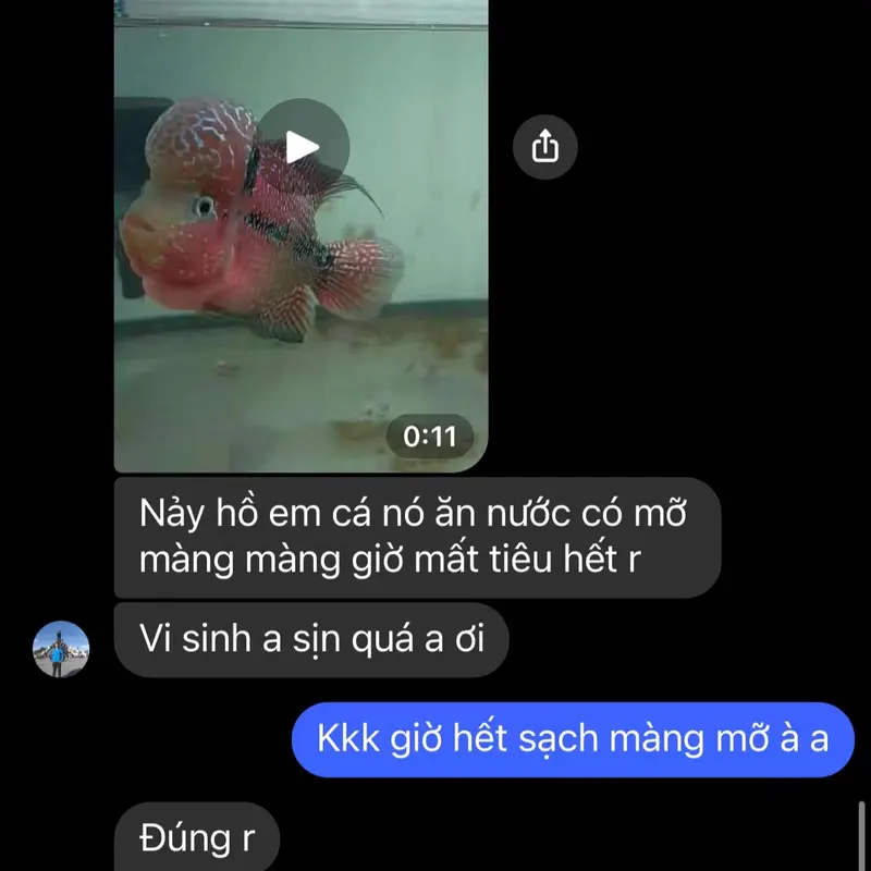 Combo xử lý nước gồm (Vi Sinh và Clean Pro NVL) giúp xử lý độc tố, phân giải hữu cơ.. Khử clo, No3, kim loại nặng, khử độc hồ - Hỗ trợ làm sạch cặn bám ống, vật liệu lọc -đảm bảo cá chỉ đi vì tuổi già, trọng lượng vi sinh 30g và clean pro 100ml 4