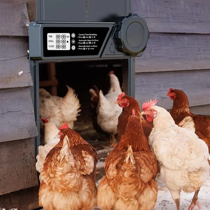 Automatic Chicken Coop Door, 1 Count Battery Powered Chicken Coop Door with LCD Display, Electric Timer Setting Automatic Chicken Coop Door, Farm Animal & Poultry Supplies