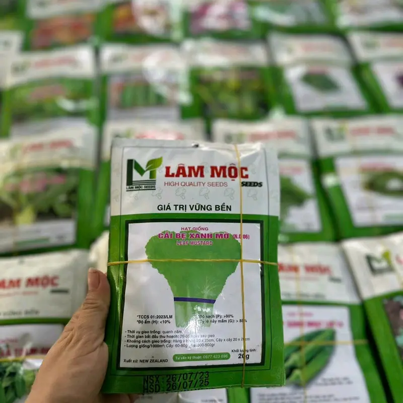 Giống Cải Bẹ Xanh Lá To - 20g - Hạt Giống Lâm Mộc Hoặc Mai Vàng 3