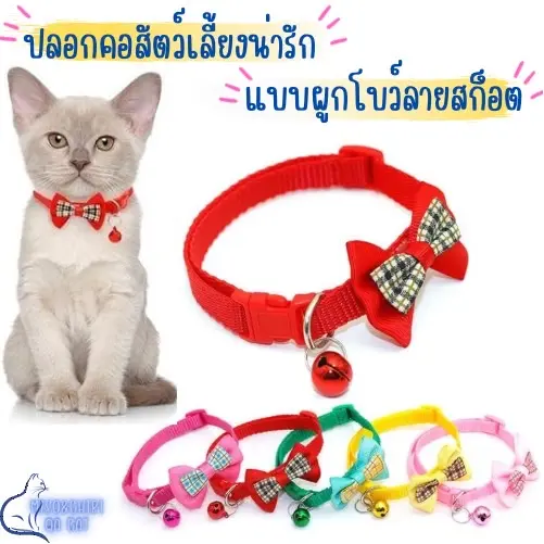 ปลอกคอแมว ลายโบว์สก็อต  พร้อมกระดิ่ง หลากสี