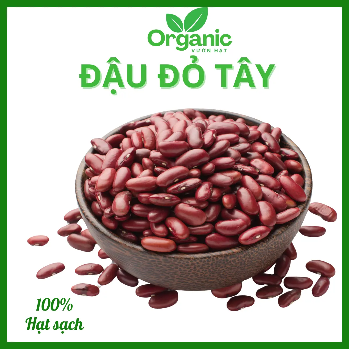 Đậu đỏ tây Đà Lạt hữu cơ, đậu đỏ tây hạt to nấu chè nấu sữa vườn hạt Orgarnic cao cấp chất lượng ̂