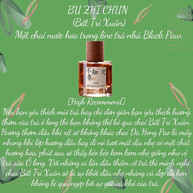 Nước hoa mùi trà Oloong/Bu Zhi Chun ( Bất Chi Xuân ) - BLACK PAW [fullseal, chiết 3ml, 5ml, 10ml] - Cosmetic Perfume 2