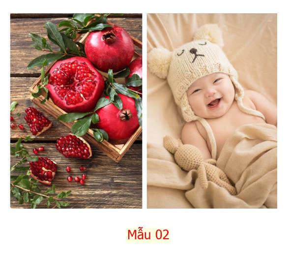 Product Introduction of Bộ 2 tranh dán tường Quả lựu và em bé GUD1482BB0010K KT 60 x 40 cm in pp kim sa nhiều mẫu 14