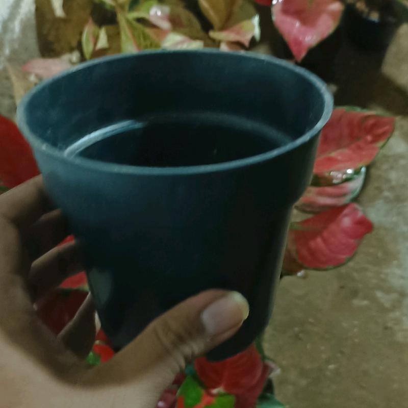 pot hitam harga 110-190 3