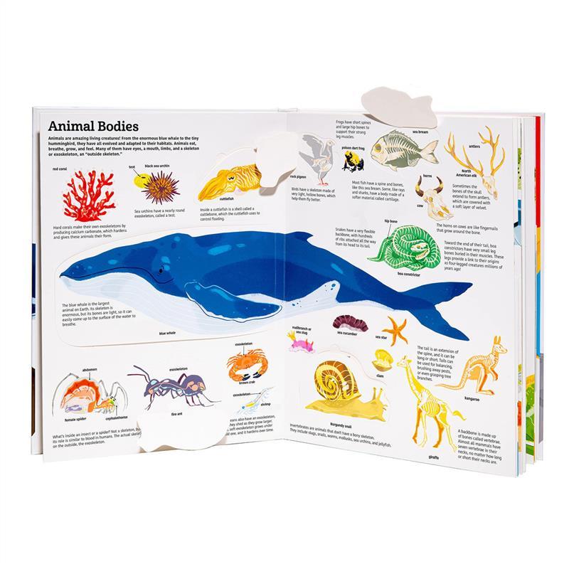 Product Introduction of Casual The Ultimate Book Of Animals/Earth/Space/Firefighter,Ultimate Spotlight 5-8y STEM Interactive Picture 3D Book 17