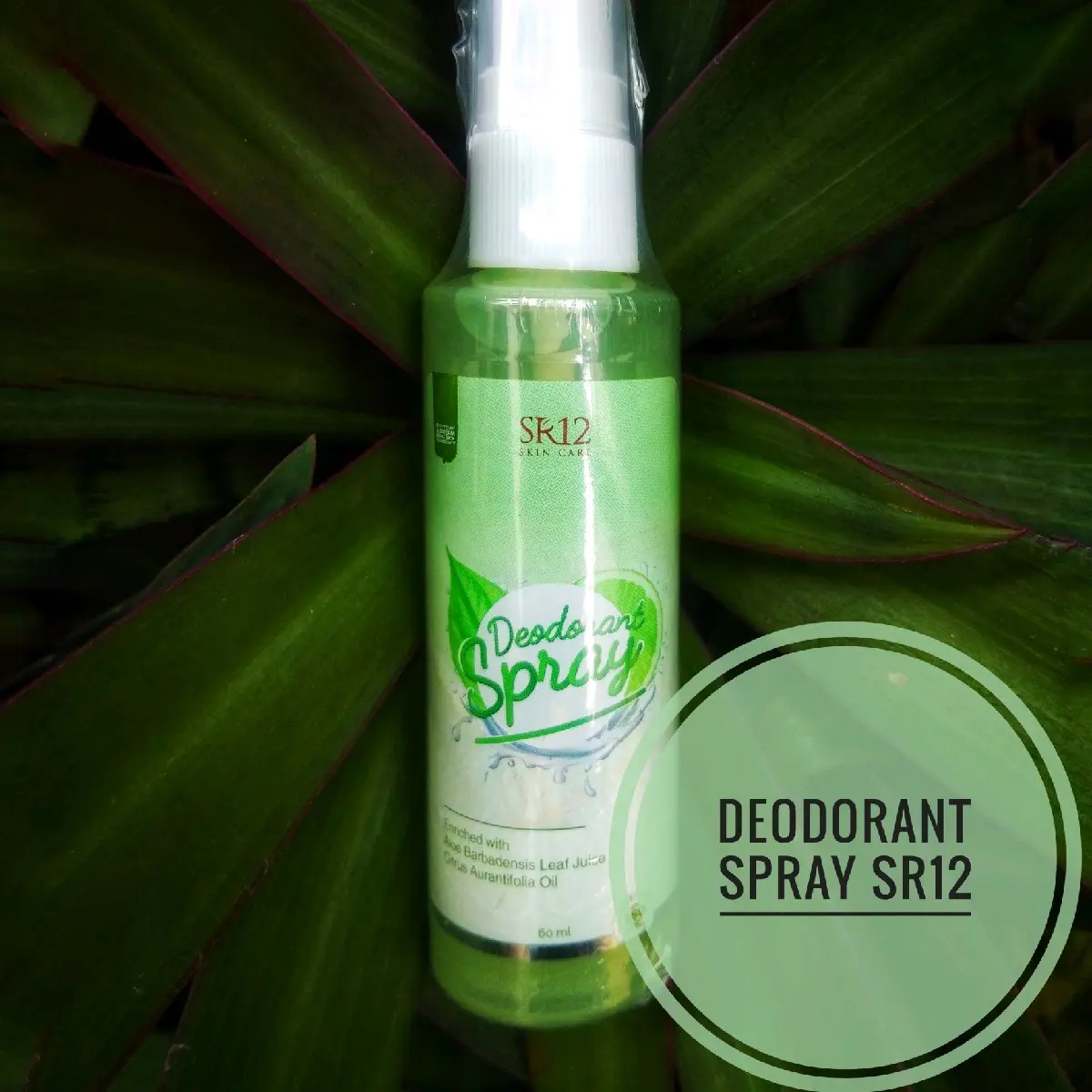 Deodorant Spray SR12 untuk Bantu Atasi Masalah Bau Badan Kemasan 60 mL