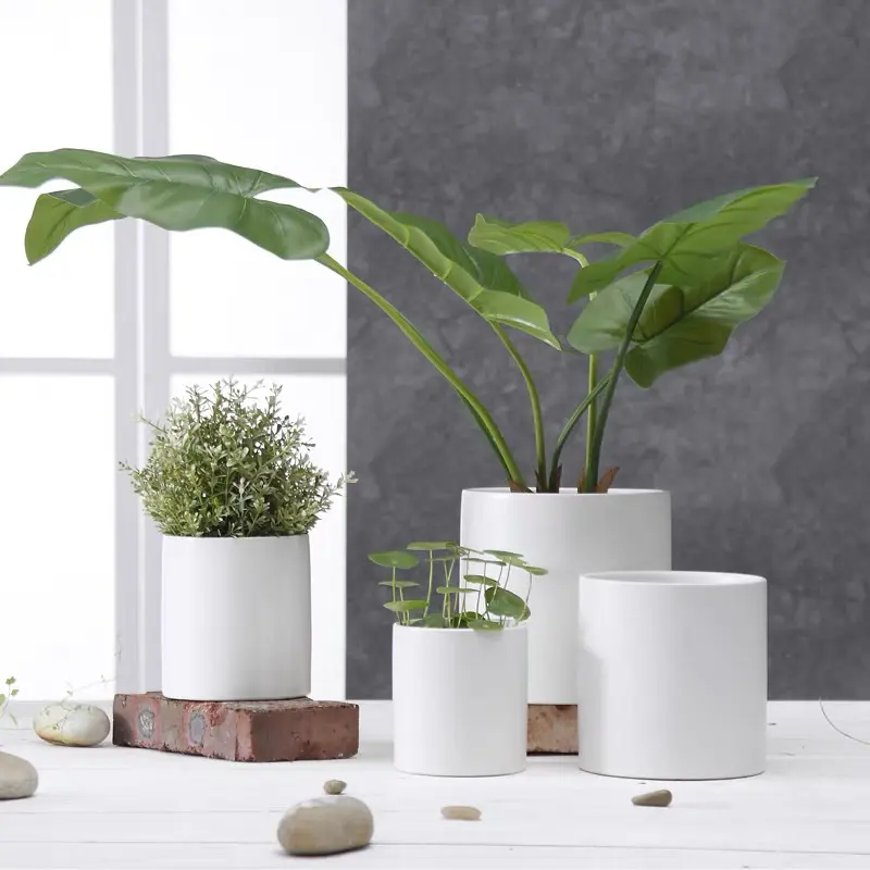 Chậu trồng cây hình trụ phong cách hiện đại decor phòng khách, Chậu giả sứ hình trụ dẻo dai, chậu cây trang trí ban công