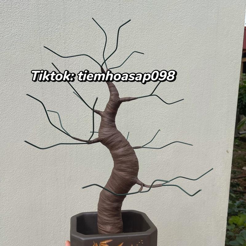 [mua 2 thân cây TẶNG 1 đèn led ]  thân bonsai giả 45-50cm  để gắn hoa kẽm nhung cây  đào hoa  đào cây  đào( không kèm chậu ) hoa  mai thân  cây gốc  bonsai hoa  tết hoa  đào