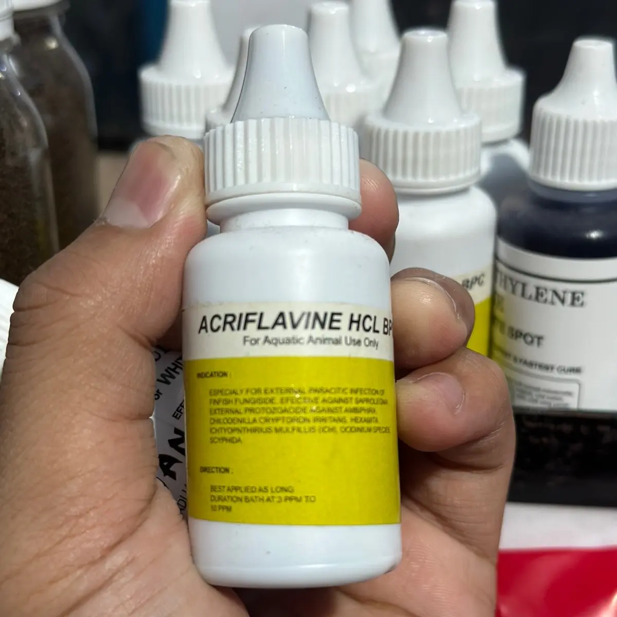 Acrivaline Obat Channa