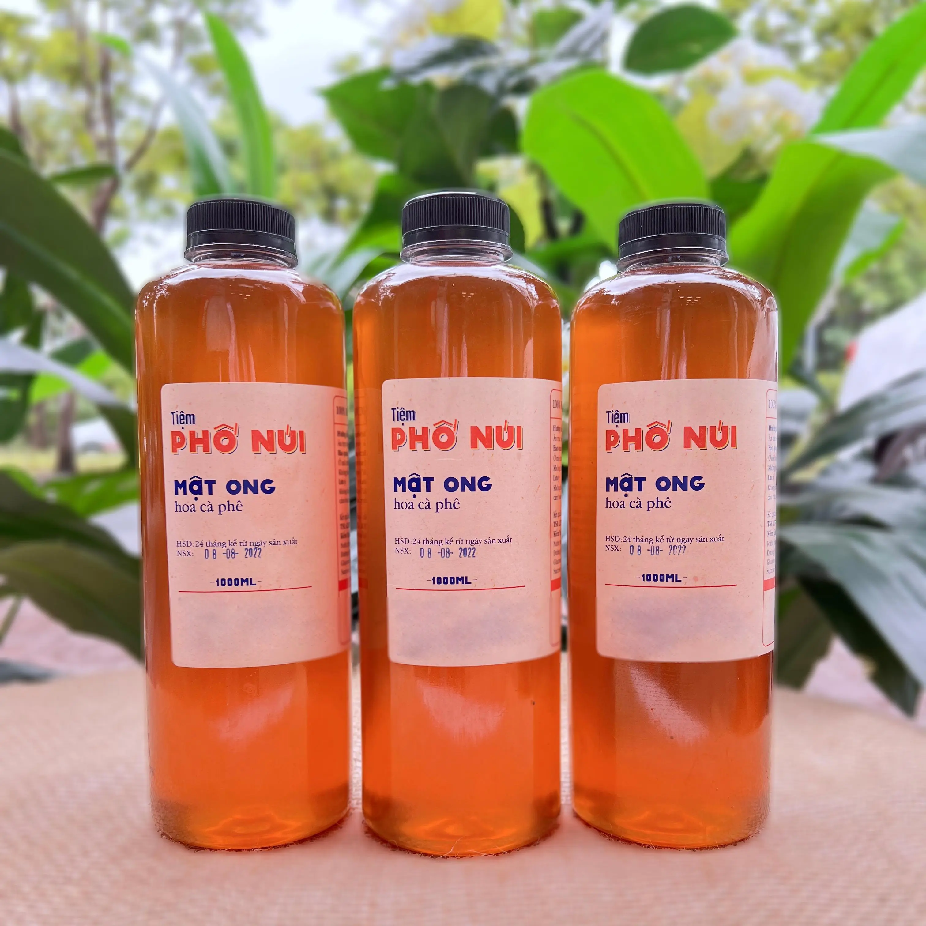 3 Lít Mật Ong Hoa Cà Phê Nguyên Chất - Tiệm Phố Núi