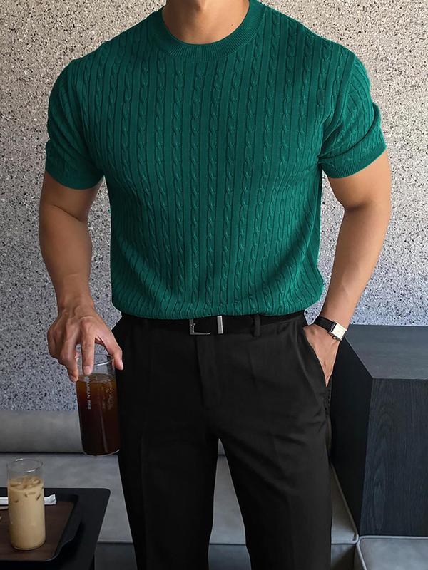 Men's Slim Textured Round Neck Cable Knit Top, Casual Short Sleeve Knitwear for Summer, Menswear for Daily Wear 2