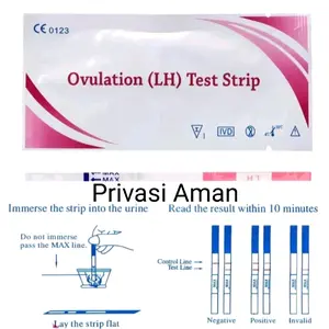 Tes Ovulasi Tes Kesuburan LH Ovulation Test Strip Masa Subur Wanita