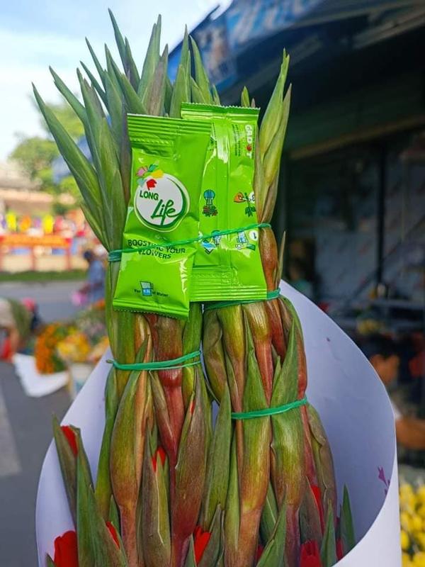 Bột Cắm Hoa Tươi Lâu Tàn Hiệu Longlife Nhập Khẩu Isarel (Bộ 30 gói) giúp hoa tươi lâu gấp 2 lần và 14 ngày không thay nước mới. 2
