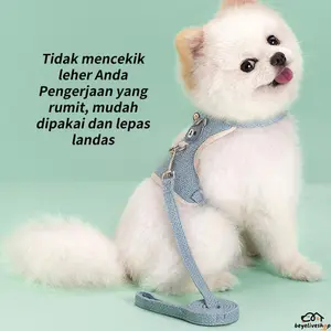 Adjustable No-Pull Pet Harness Vest, Cartoon Bear Design Dog Harness for Walking, Escape-Proof Soft Mesh Vest for Cats, Rabbits and Small Dogs