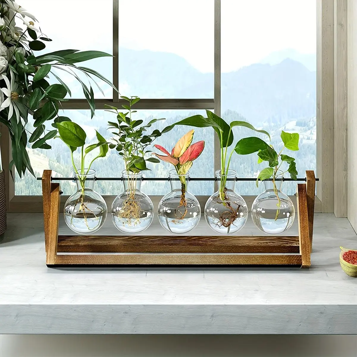 Wooden Frame Hydroponic Plant Kit, 5-Bulb Vase Plant Glass Container, Indoor Living Hydroponic Plant Office Garden Planter
