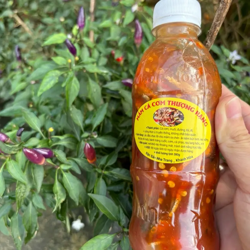 6 Chai Mắm Nêm Cá Cơm Thượng Hạng Đặc Sản Nha Trang Khánh Hòa, 1 Chai 380gram, Nước Sốt Gia Vị, ít Cay, Không  Chua 1