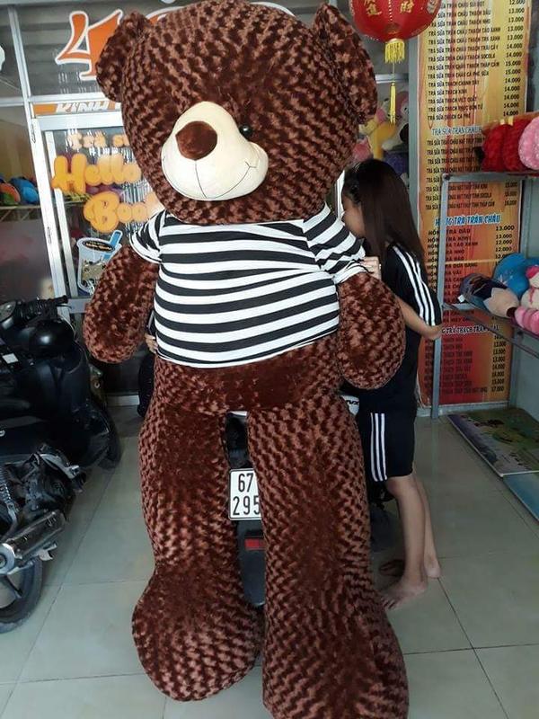 Gấu bông teddy khổ vãi 2M cao 1M8