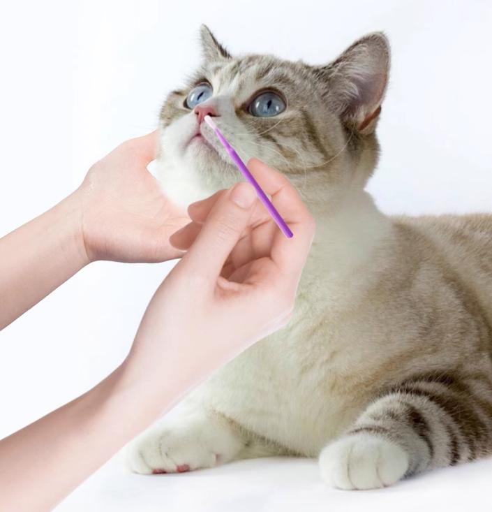 Product Introduction of Tăm bông nhựa chuyên dụng vê sinh tai, mắt, mũi, kẽ chân cho chó mèo túi 100 chiếc BMJ Petshop 11