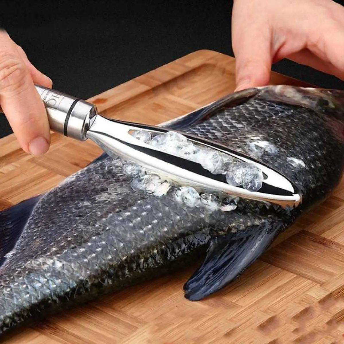 Pengupas Sisik Ikan Fish Scales Scraper Grater Peeler KN692