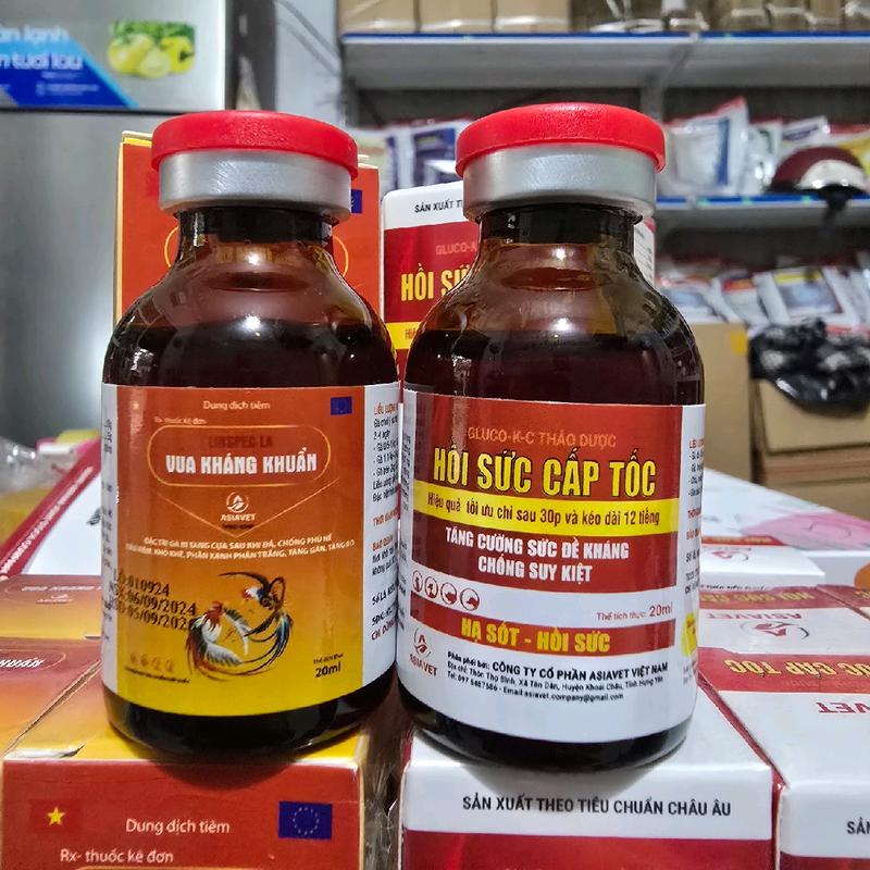  Bộ trị tang gà  phục hồi nhanh sau đá cao cấp thuốc  tiêm combo  nuôi 