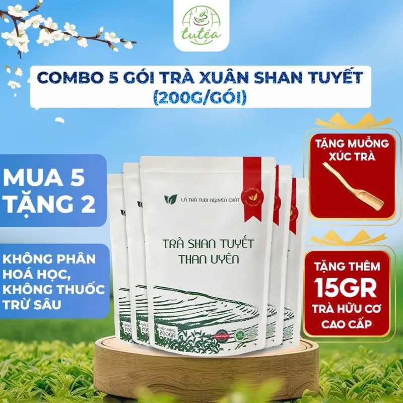 Combo 5 Túi TRÀ XUÂN Trà Shan Tuyết Than Uyên 200g Chuẩn Hữu Cơ