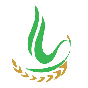 Ông chú Đông Xuân