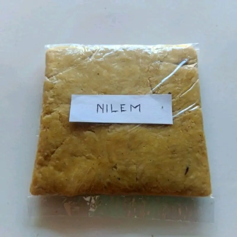 UMPAN IKAN WADER & NILEM