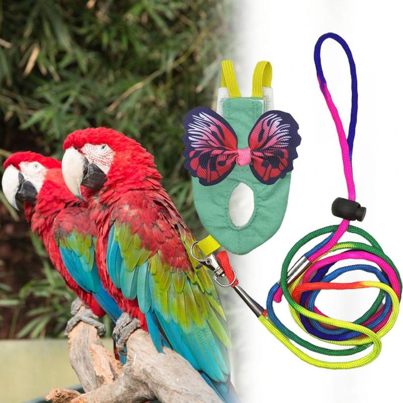 Product Introduction of Parrot Harness Elastic Shoulder Strap Parrot Flight Suit Leak-proof Parrot Flying Vest Parrot Flying Diaper Bird Clothes 16