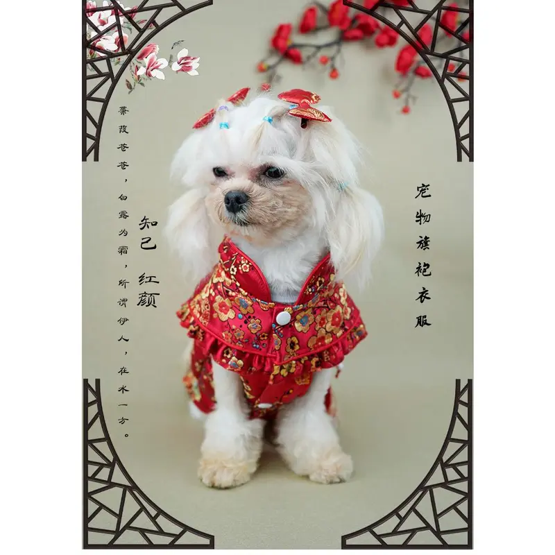 Đồ Trang Trí Thiết Yếu Cho Thú Cưng, Quần Áo Mới Cho Chó Cưng, Túi May Mắn Lễ Hội, Váy Trung Quốc, Váy Sườn Xám, Thích Hợp Cho Teddy Và Bichon, Hàng Có Sẵn Cho Năm Mới 2025, Bán Hàng Tại Nhà Máy 8