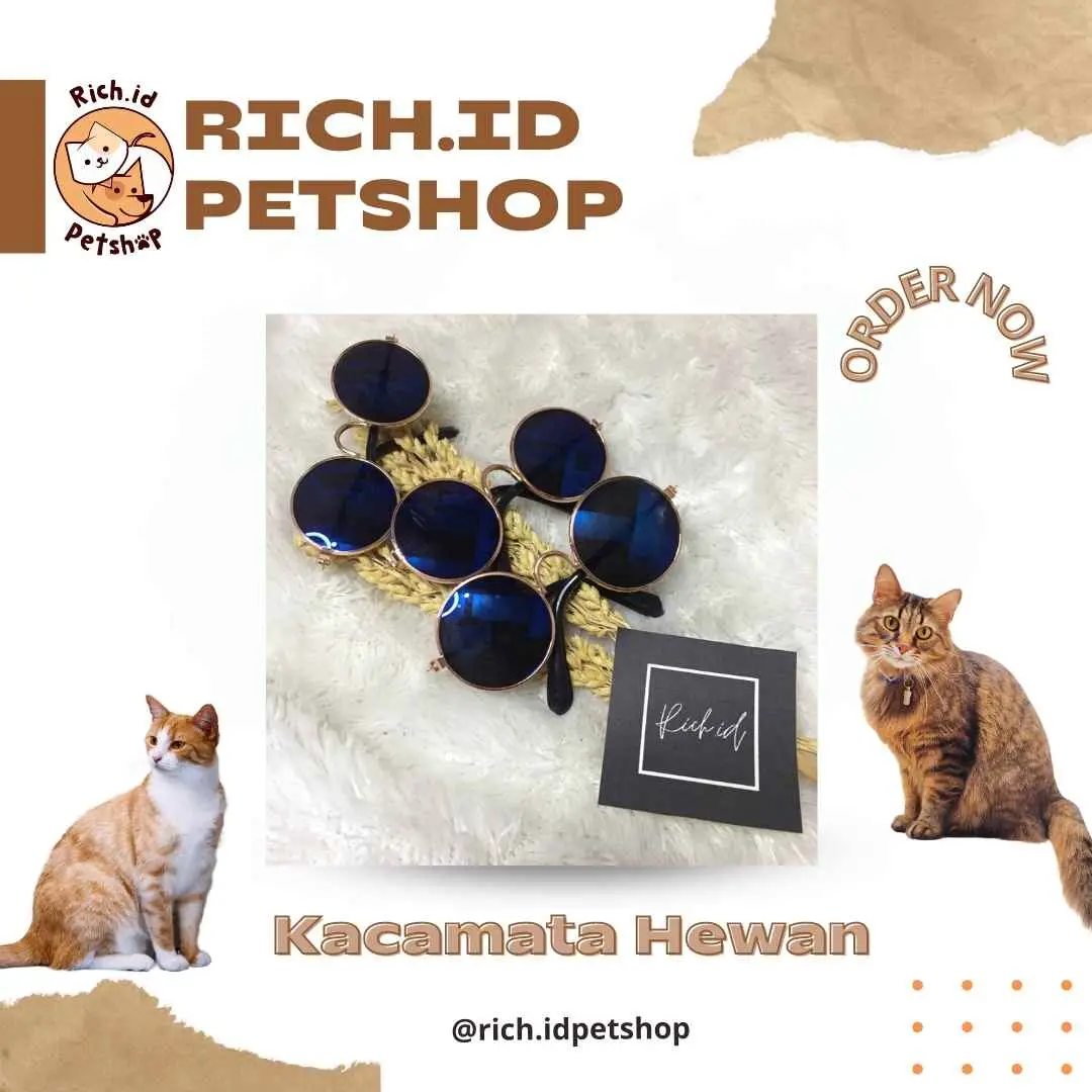 Kacamata Untuk Hewan, kucing, anjing